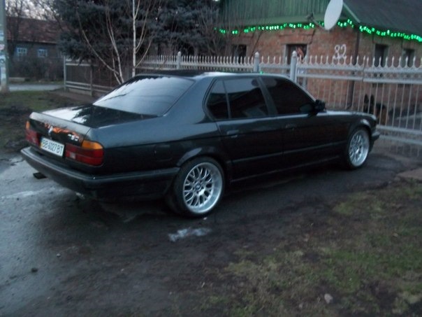 поставив Rondell) 1