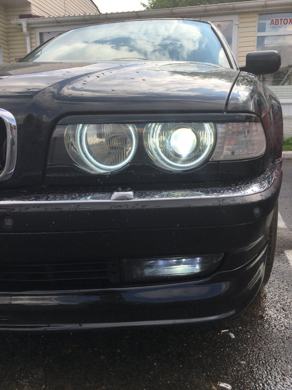 Губа Alpina 5