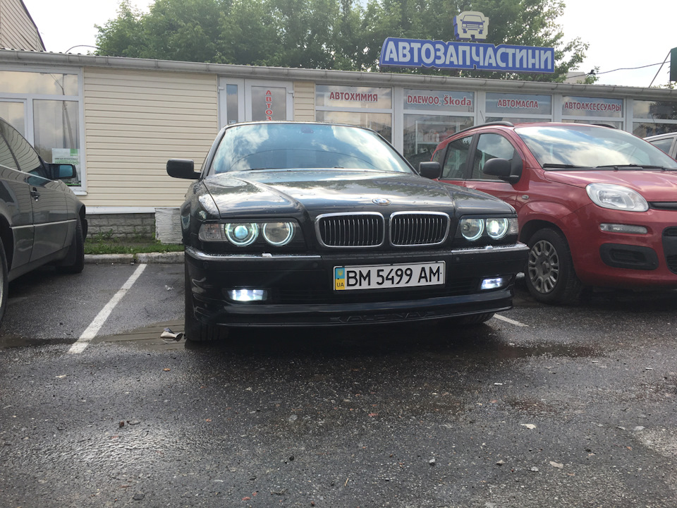 Губа Alpina 3
