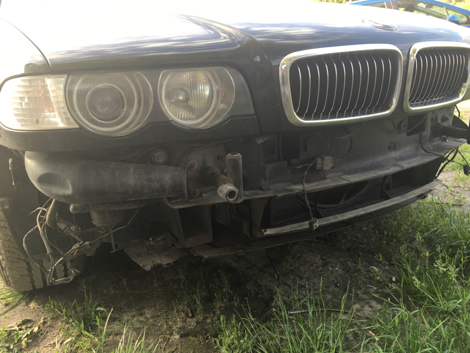 Губа Alpina 2