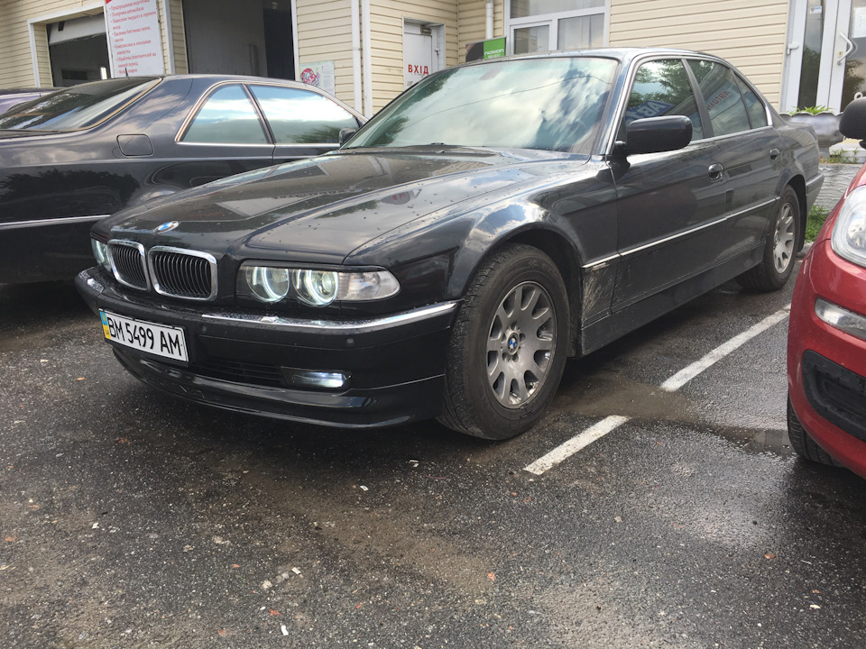 Губа Alpina 4