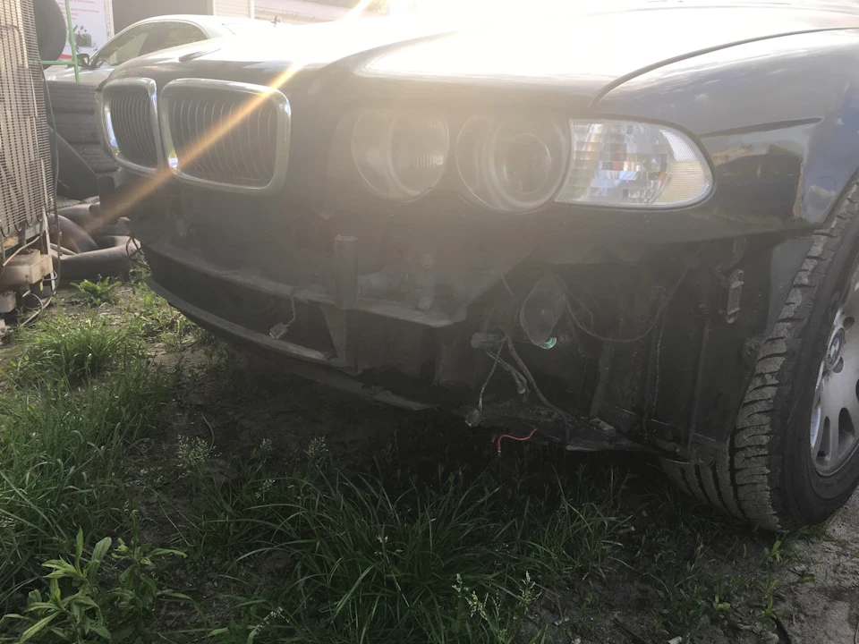 Губа Alpina