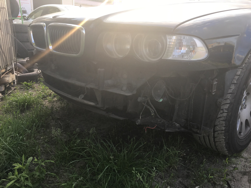 Губа Alpina 1