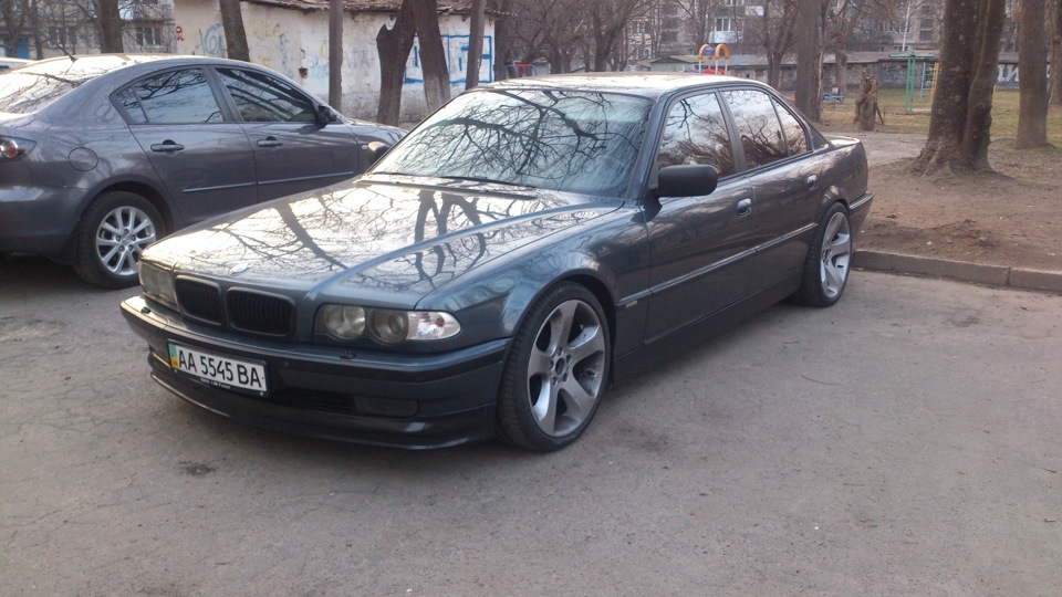 Губа ALPINA 1