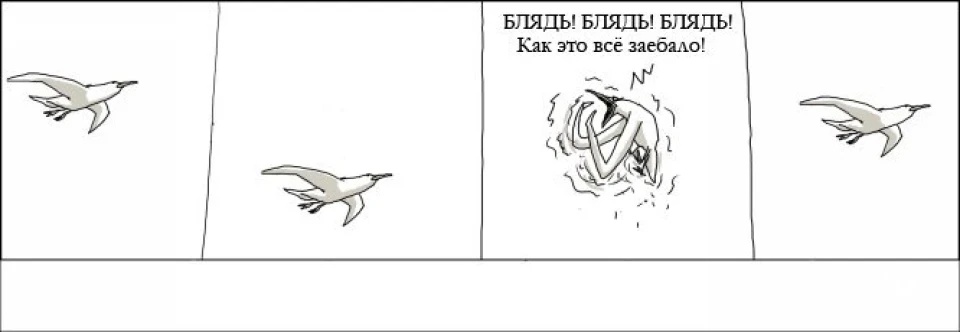 Крила, блт
