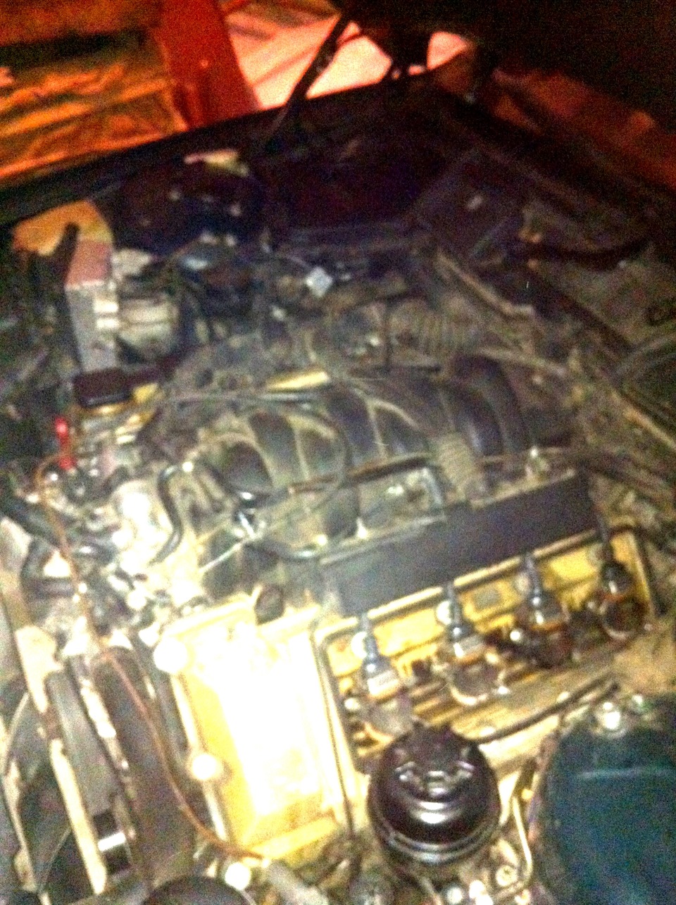 Зевеласія))) 2