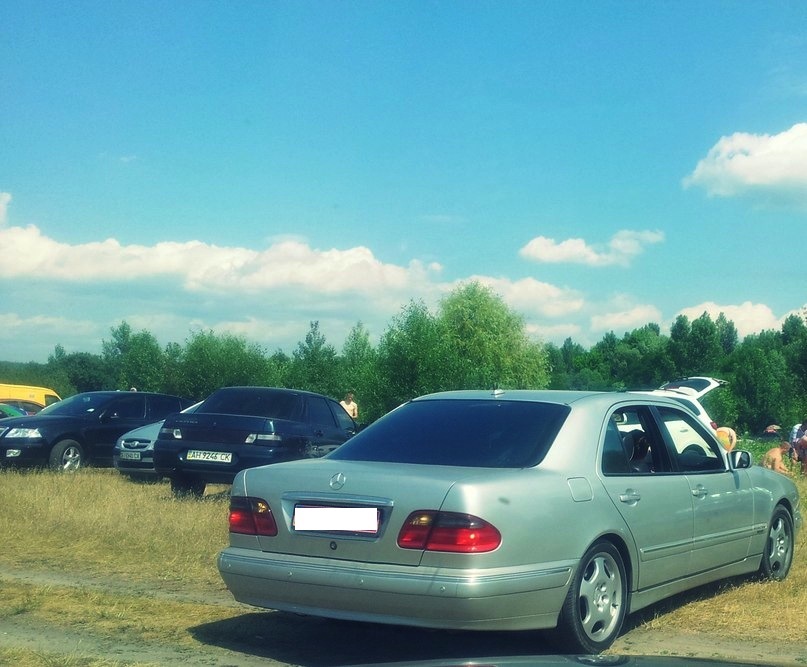 знайомство з мерином 5