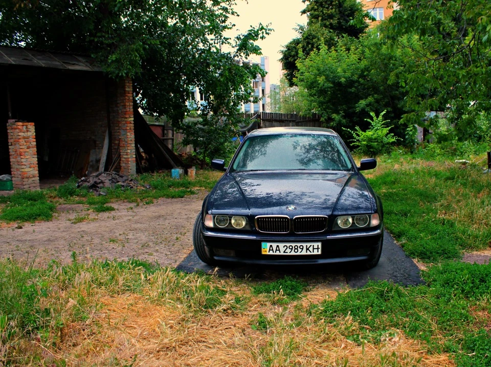 Пару свіжих фото)