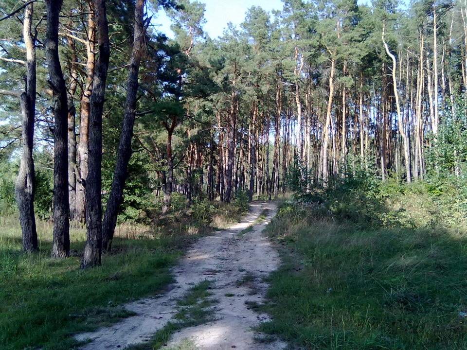 відпочинок на природі 2