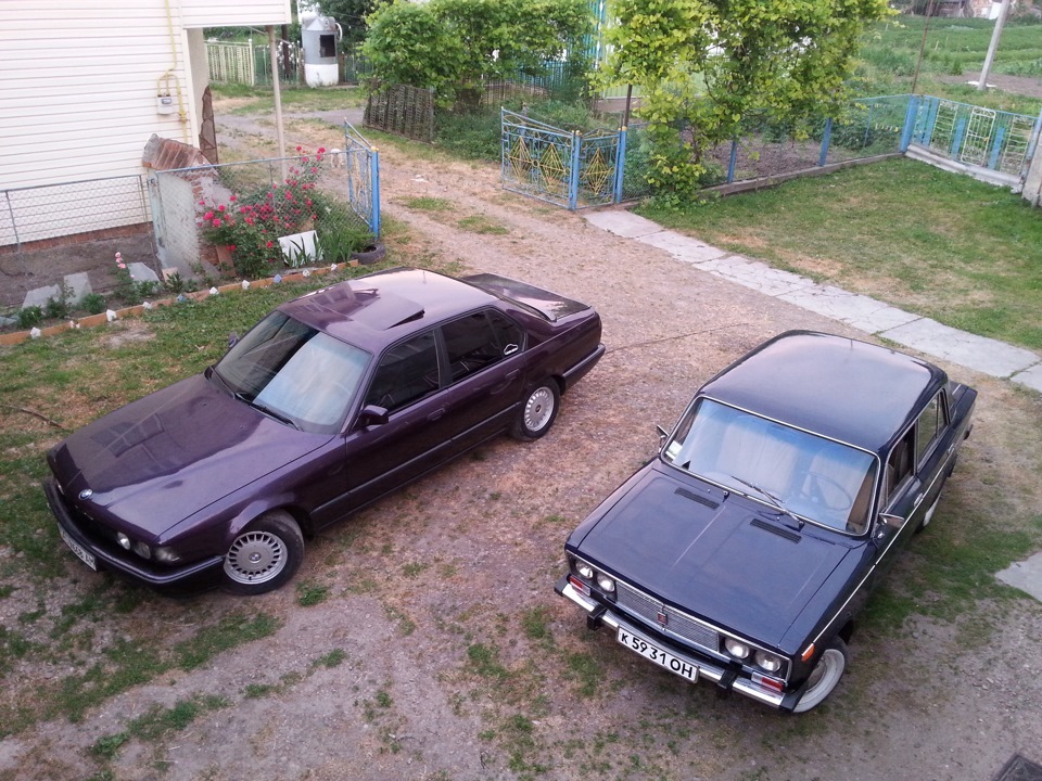 Віддав у добрі руки 2