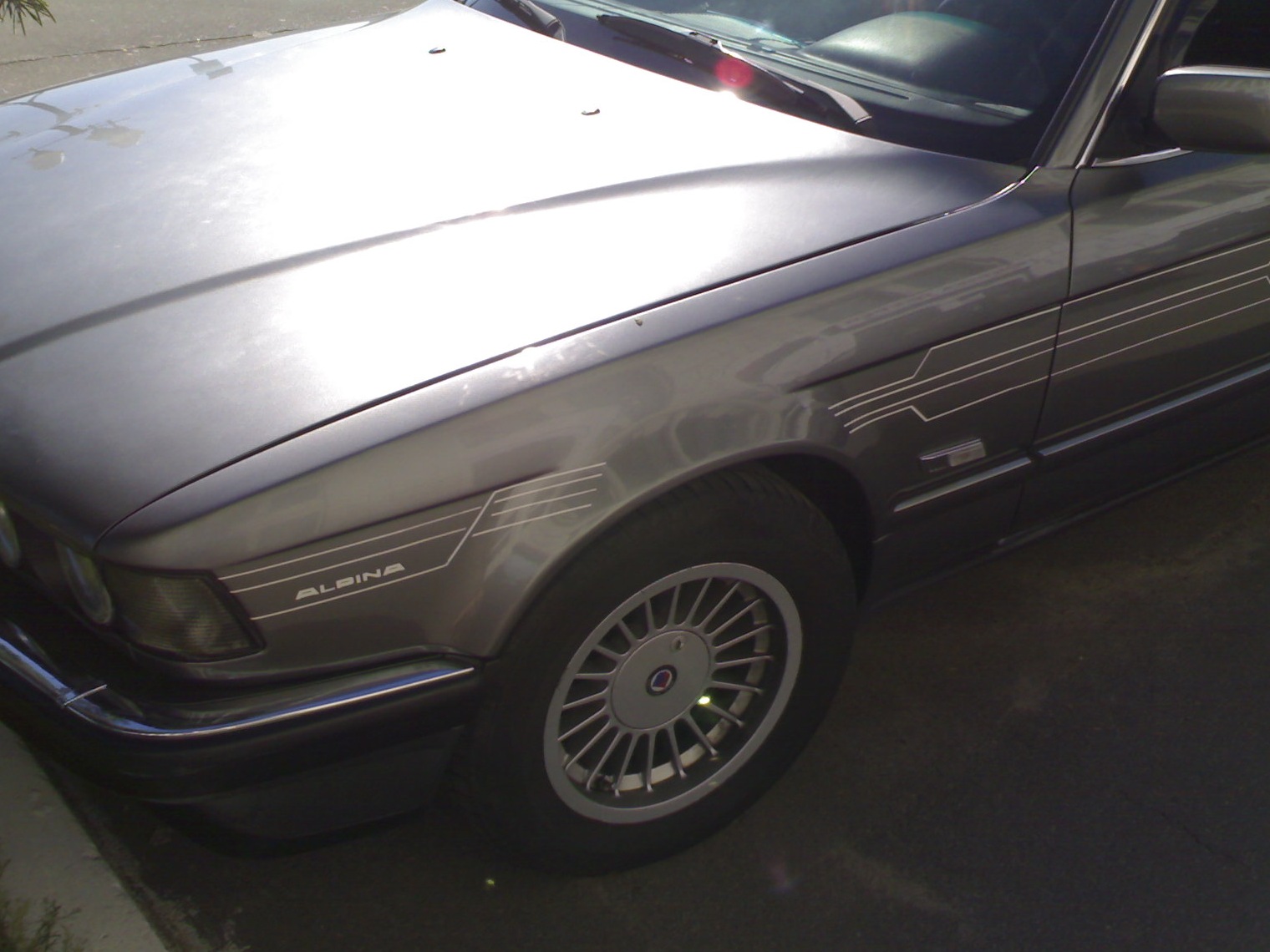 Смужки ALPINA 2