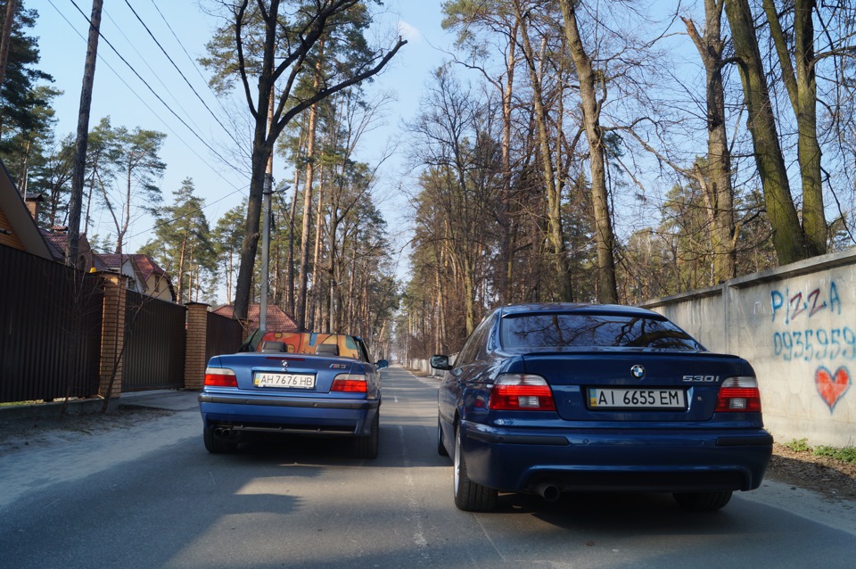 Фото ///M3 E36 & 530i ///M E39 3