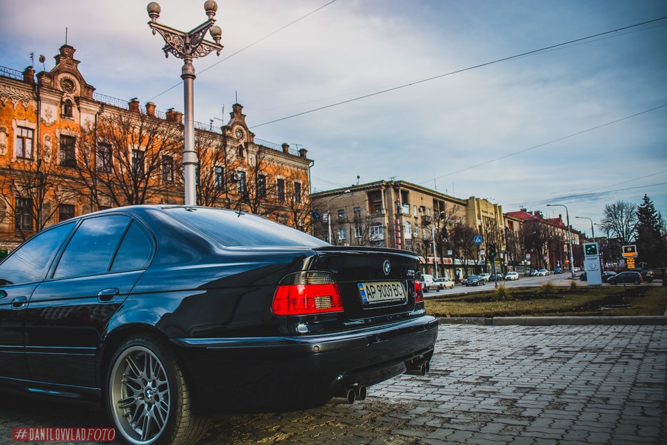 The last emperor! Фотосет чистокровного баварця) 4