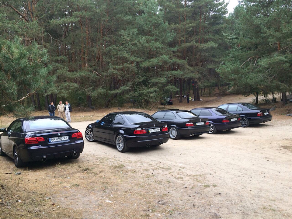 ///М-пікнік 2016 3