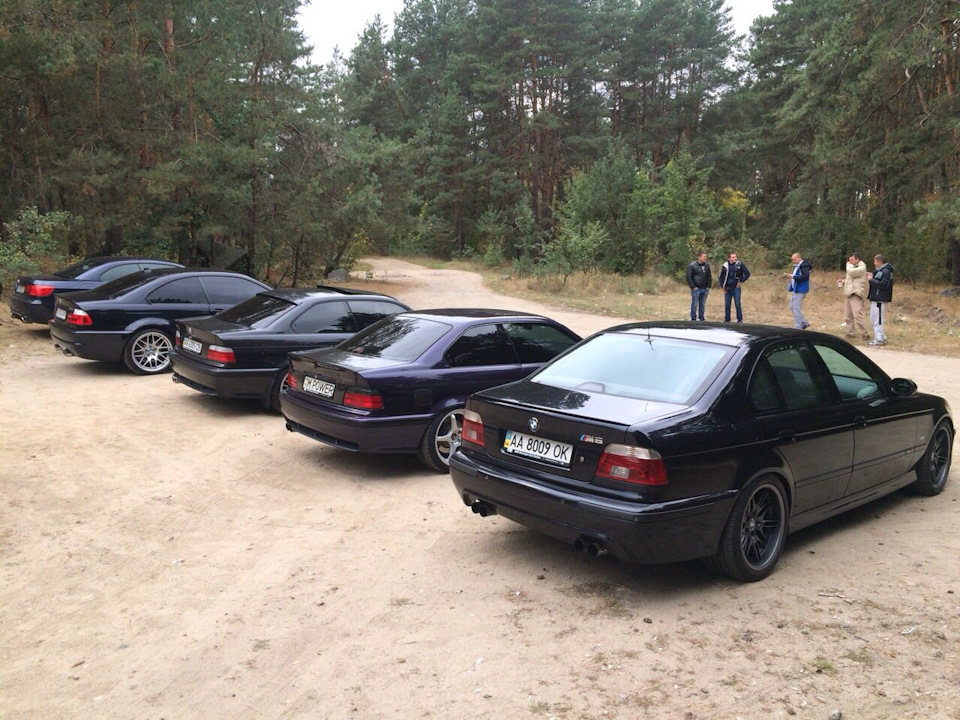 ///М-пікнік 2016 4