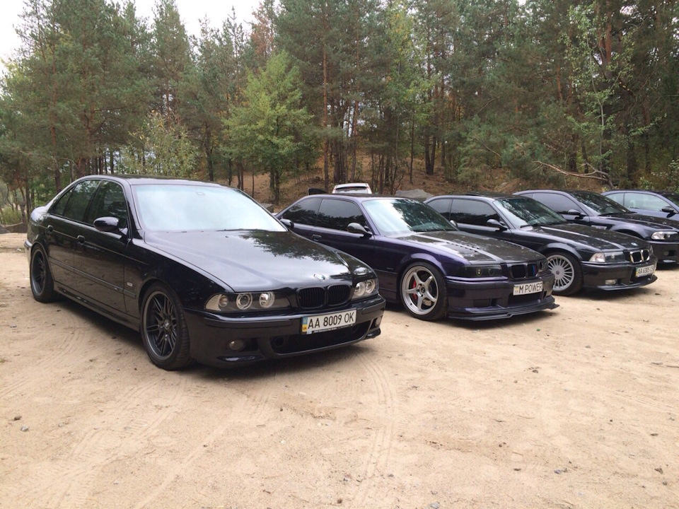 ///М-пікнік 2016 1