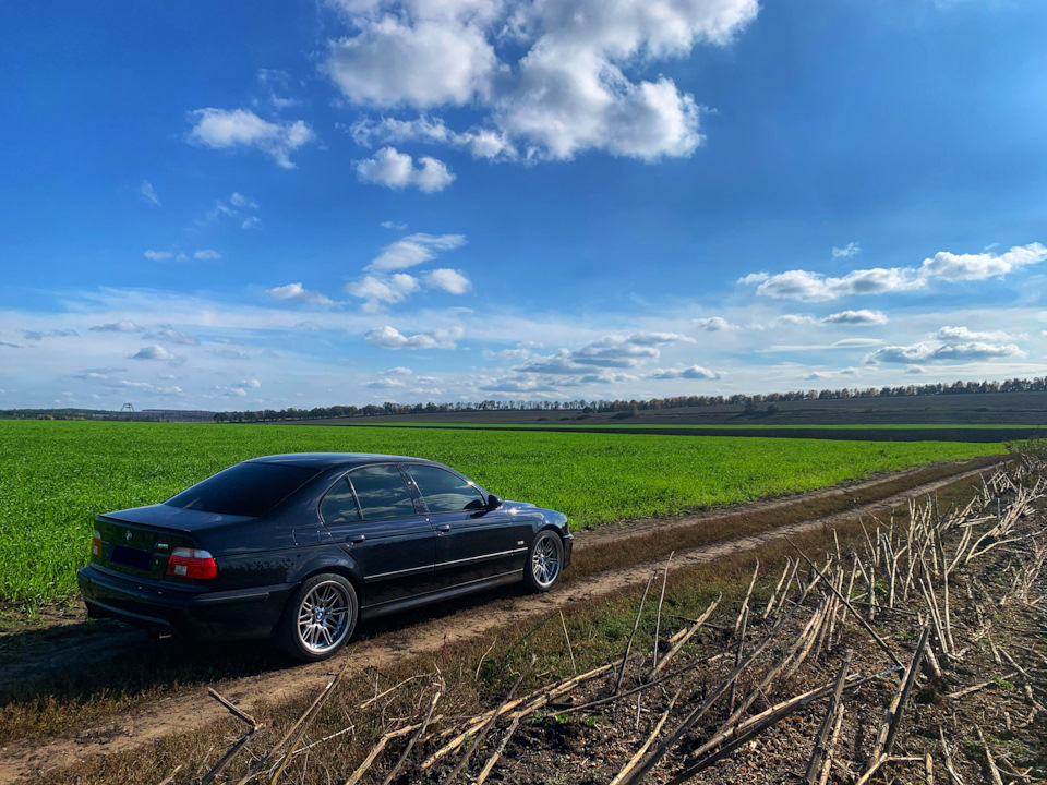 Невелика фотосесія 5