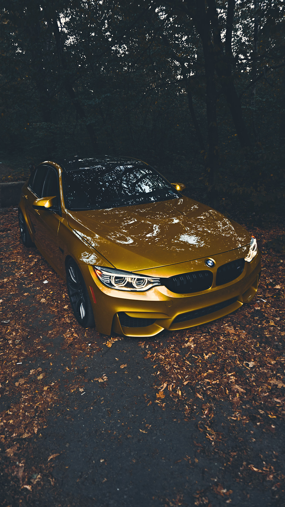 M3F80 1