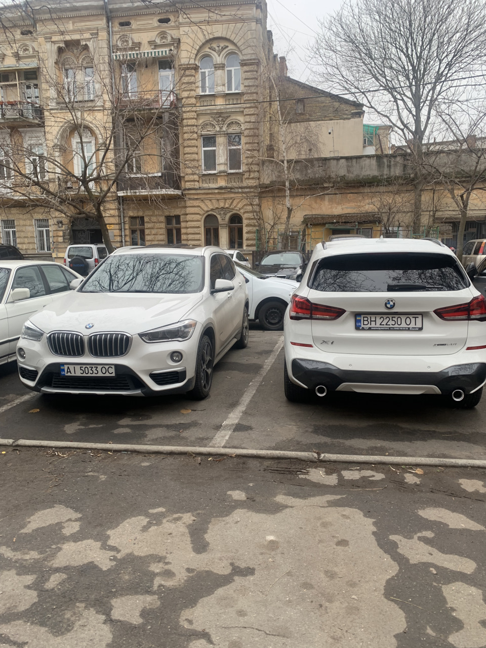 Поставив нормальну зиму 😀 5