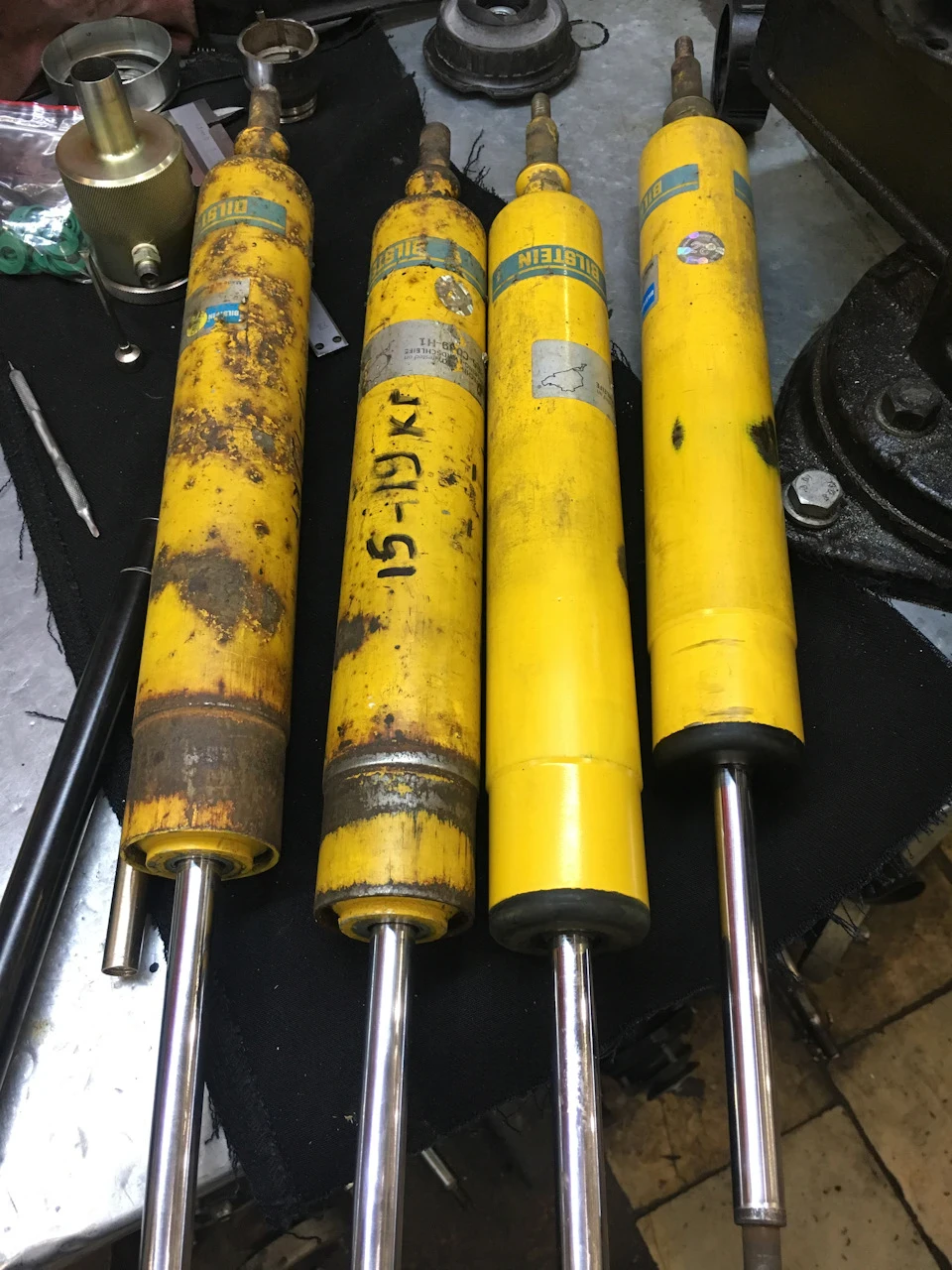 Belstein b6/b8 весілля:)