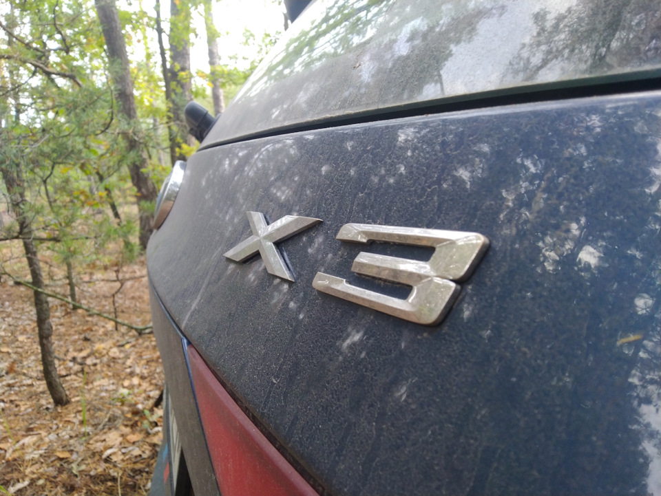 Поїздка на гриби на BMW e83 4
