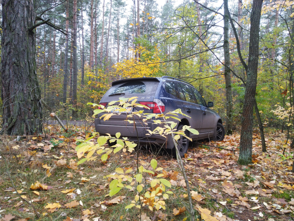 Друга осінь з BMW X3 e83 4