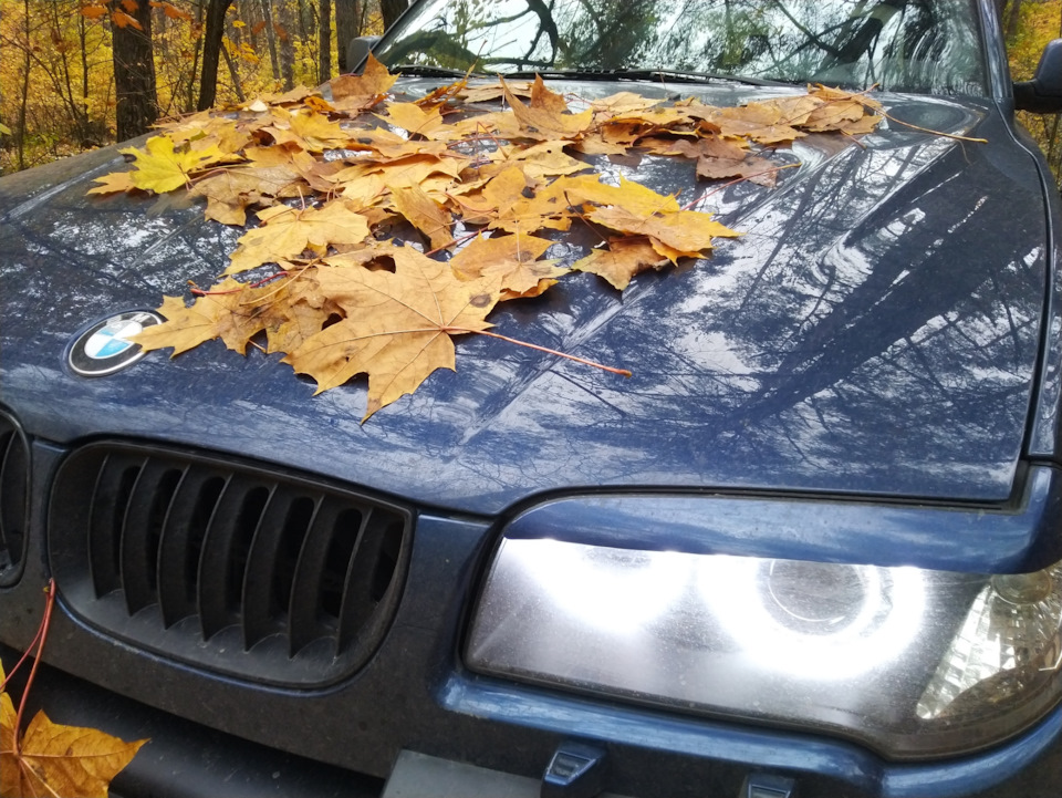 Друга осінь з BMW X3 e83 5