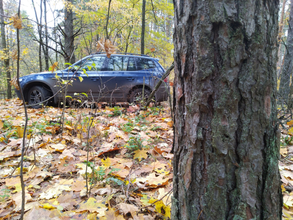 Друга осінь з BMW X3 e83 2