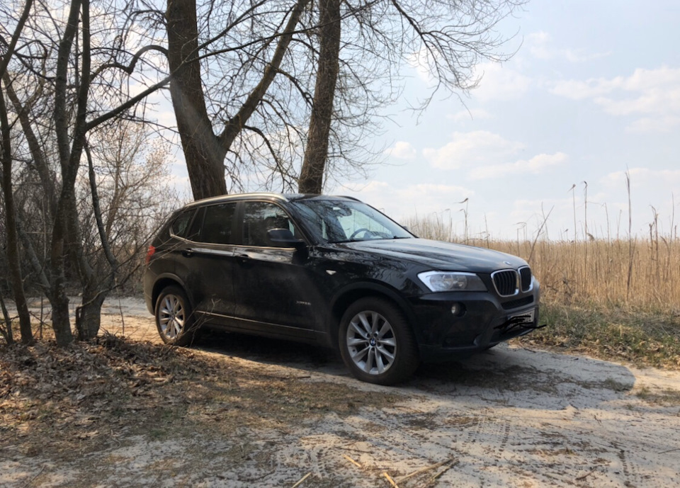 11. Весна у лісі. 1