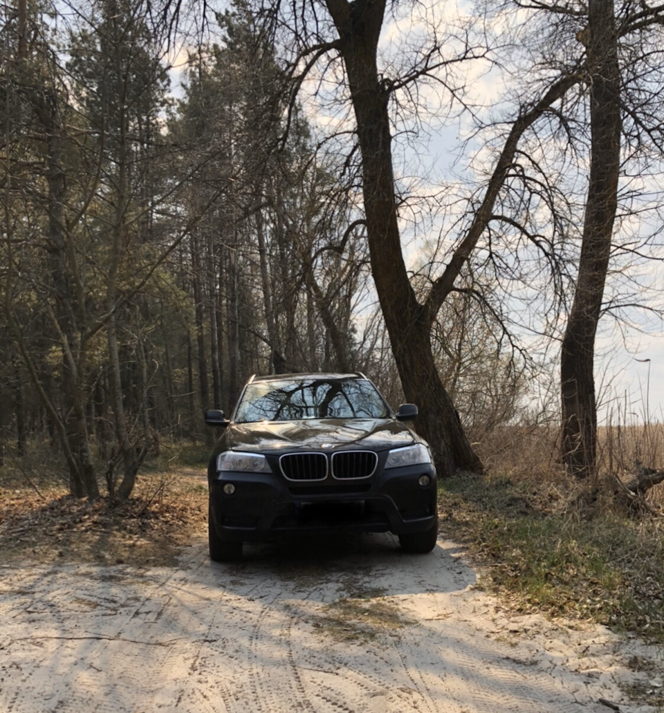 11. Весна у лісі. 2