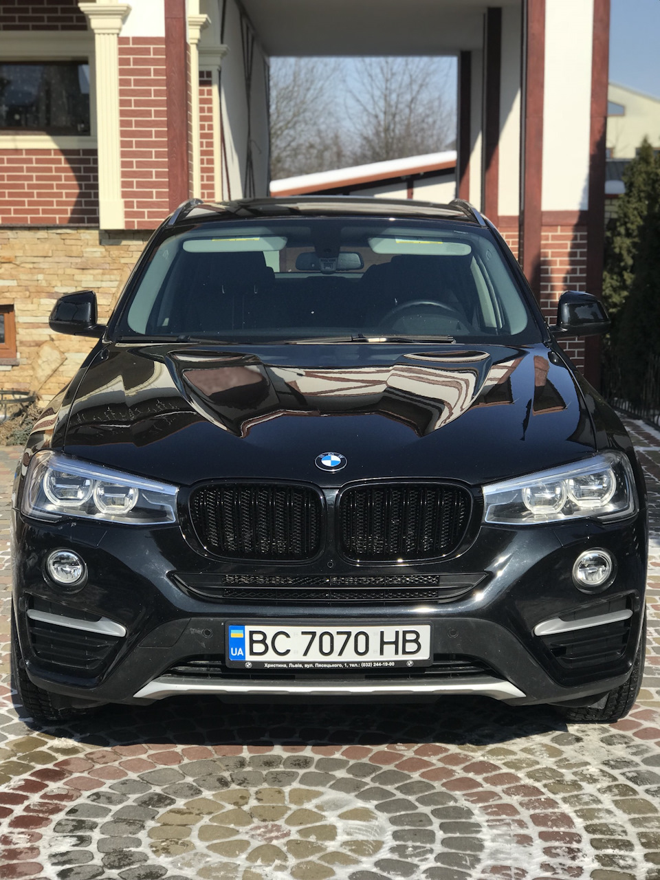 Заміна ґрат (ніздрів) BMW Х4 1