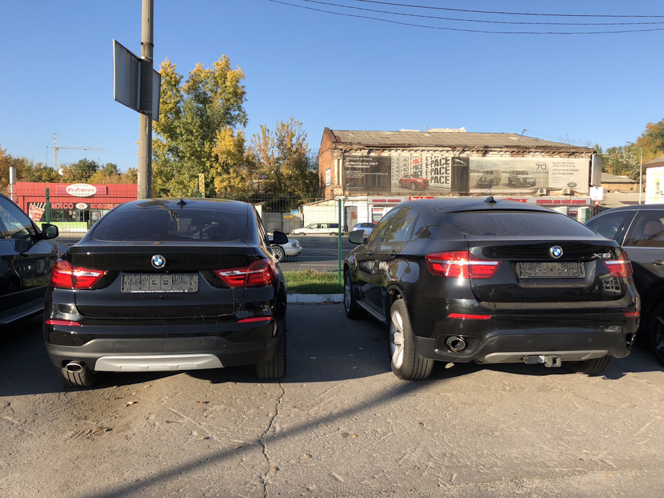 різнояйцеві … 2