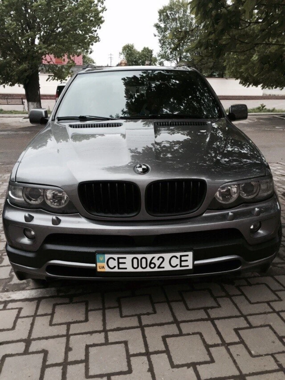пару фото хом'яка