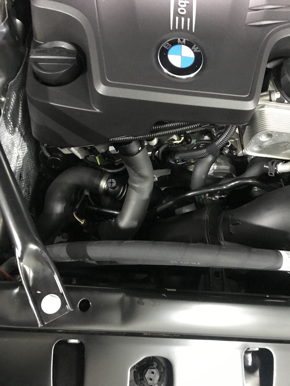 Детейлинг услуги от местного дилера BMW 4