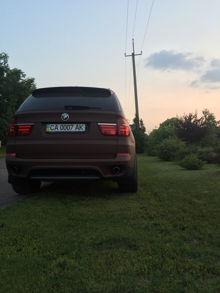 Забрав нарешті хом'яка:) 5