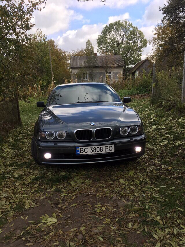 Пошук господаря Авто Львів! 1