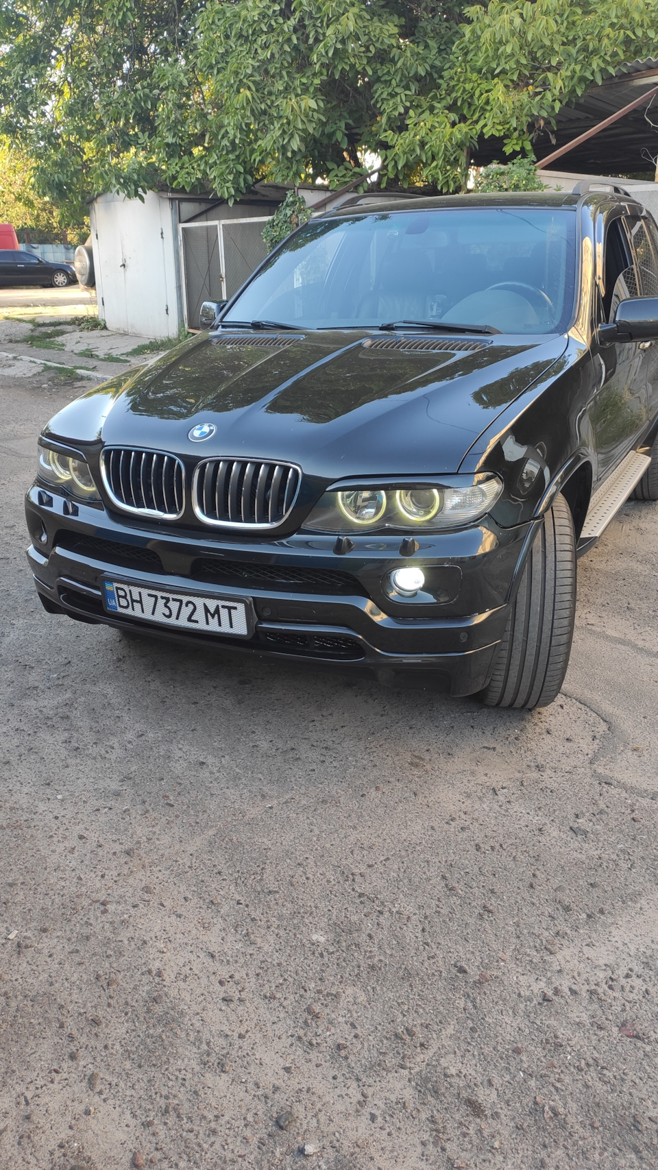 Чорні ніздрі 1