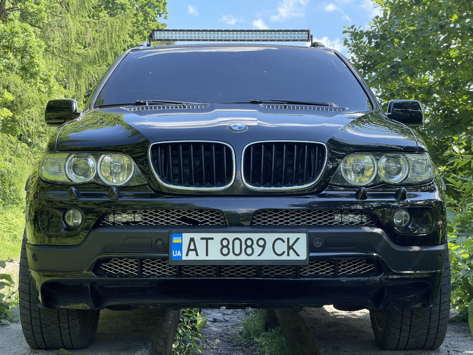 Грати, ніздрі в чорний мат 1