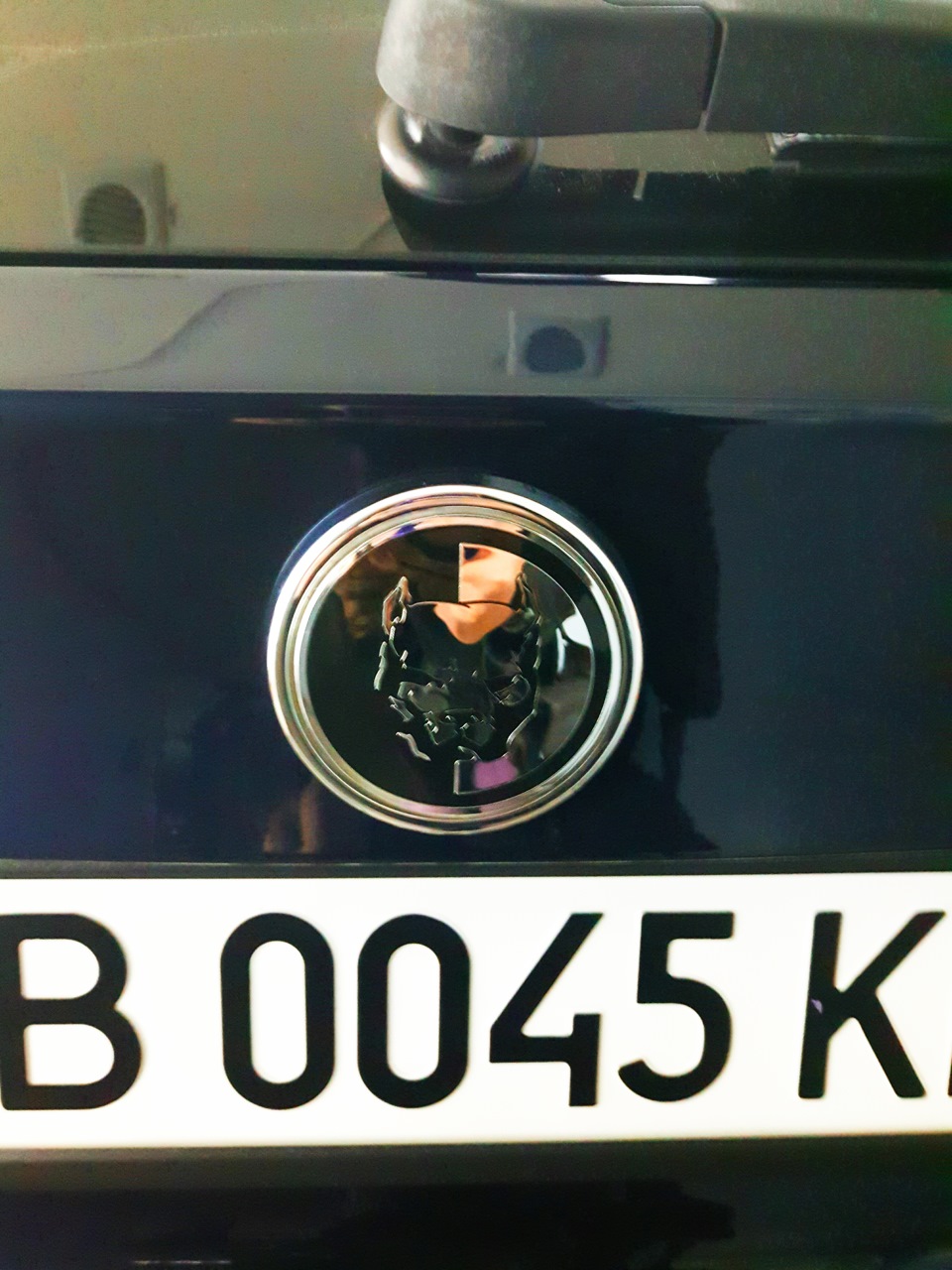 Значки Pitbull Давидич Стайл, Рідке Скло та Hamman. 5