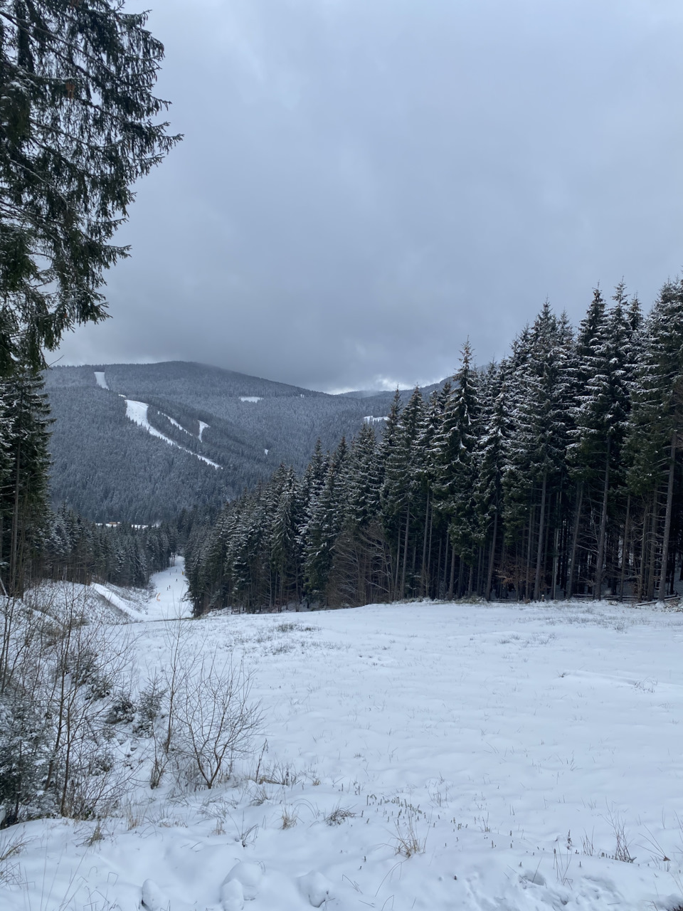Ікс у своїй стихії❄️Поїздка на гірськолижний ⛷ курорт Буковель (Карпати) 🏔 5