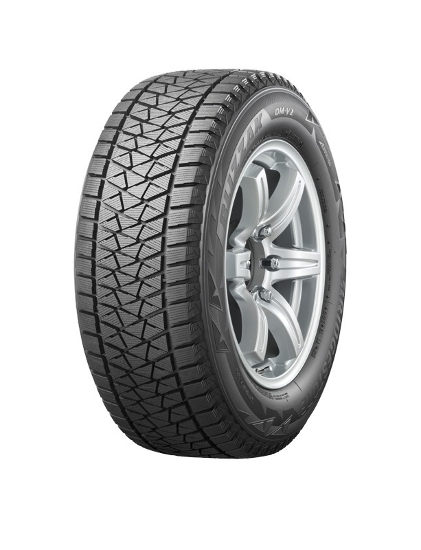 Перевзулися - Bridgestone Blizzak DM-V2 2