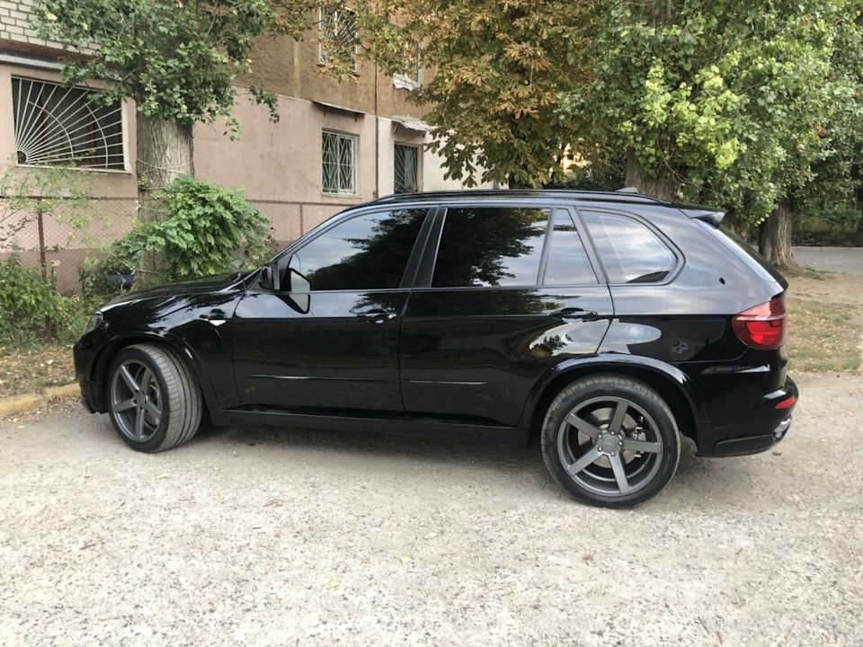 Ну ось і все! Борзий проданий. 2