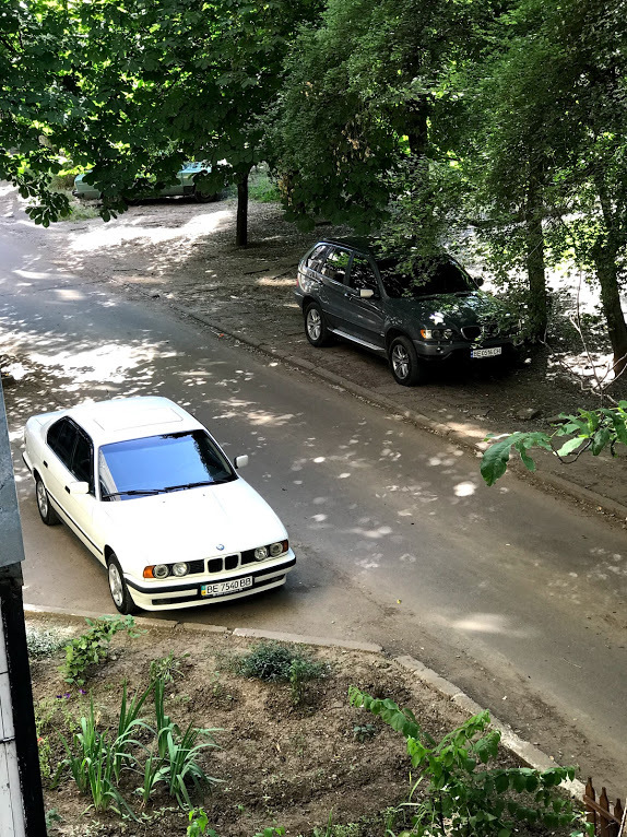 Покупка хом'яка 5