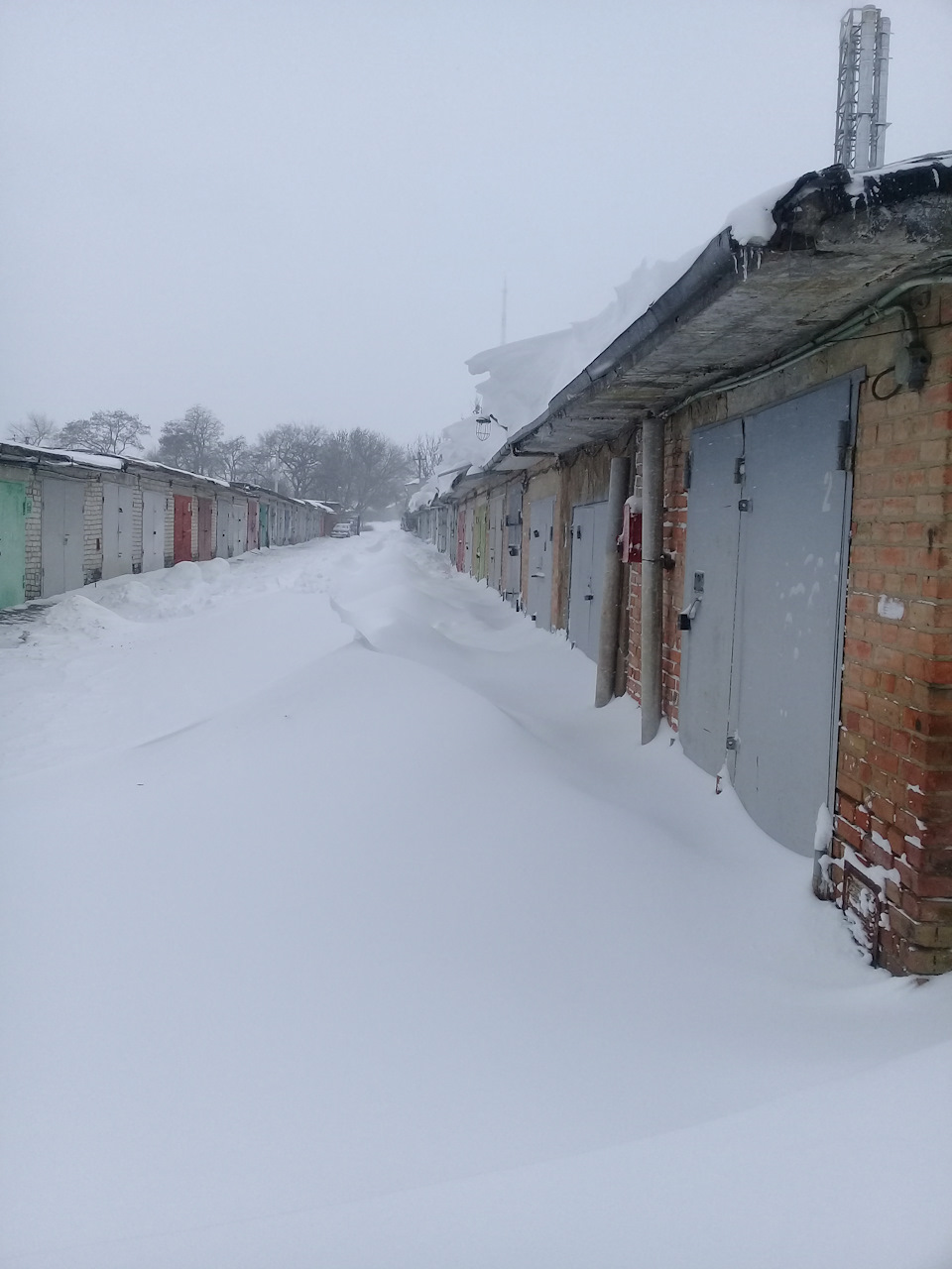 Зима вирішила затриматися 5