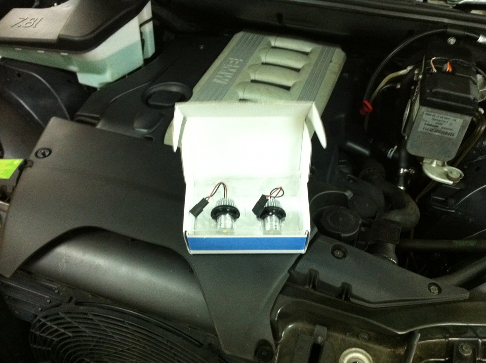 Angel Eyes and Xenon 6000K 1