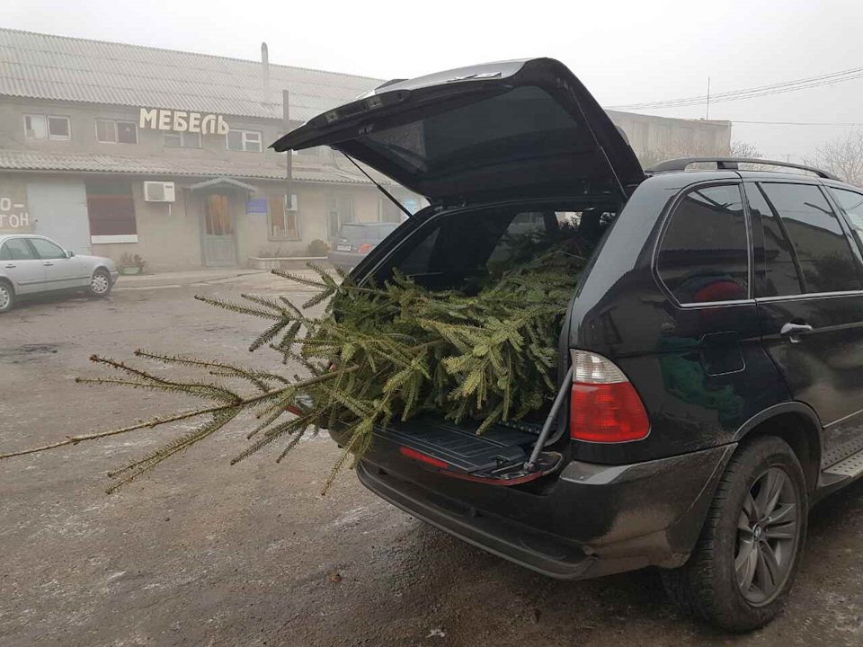20 тріома + дрібниці 1
