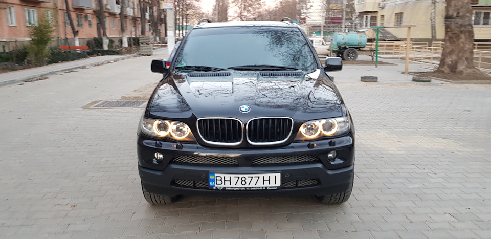 67 чіпування 1