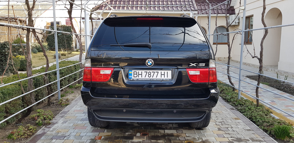 67 чіпування 3