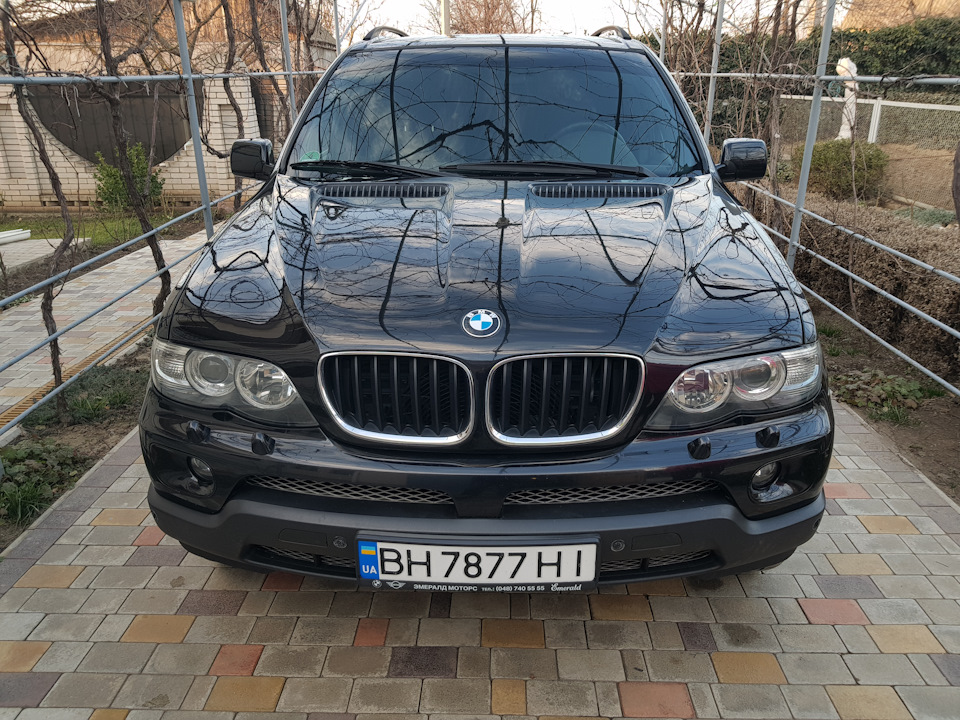 93 Сітка в бампер 2