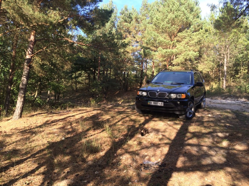Грибний off-road) 5